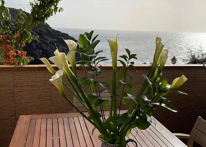 Cliffs Edge *
